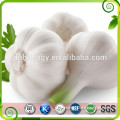 Antiaging&Anti-virus ! Wholesale garlic extract,garlic extract powder,garlic powder extract